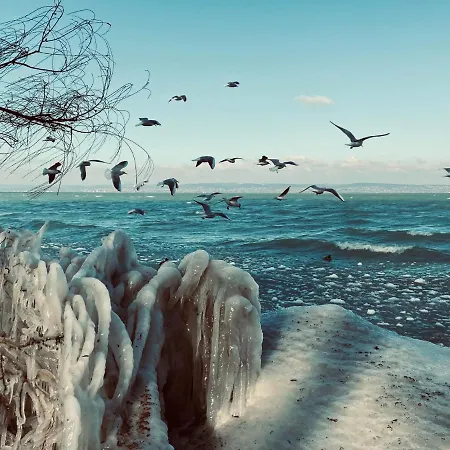 Seaforth Διαμέρισμα *