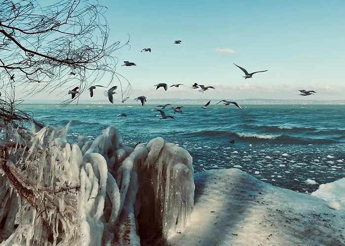 Seaforth Appartement *